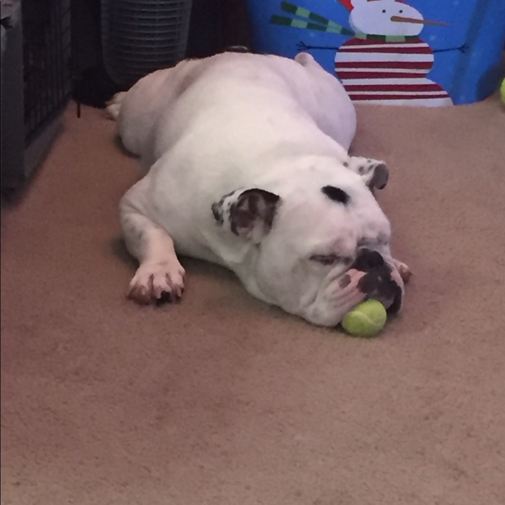 Meet your Posher, Crystal